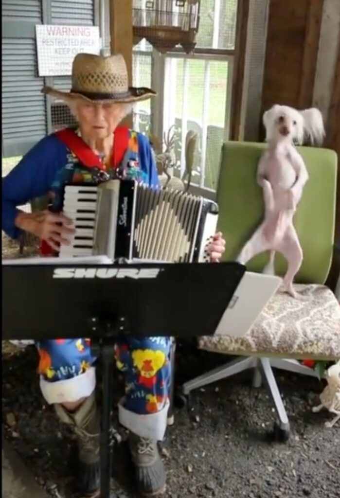Cuando Mamie comienza a tocar el acordeón, su perro no puede resistirse y empieza a bailar al ritmo de la música. Es un espectáculo adorable y lleno de energía que, sin duda, te hará sonreír y llenará tu día de alegría.
