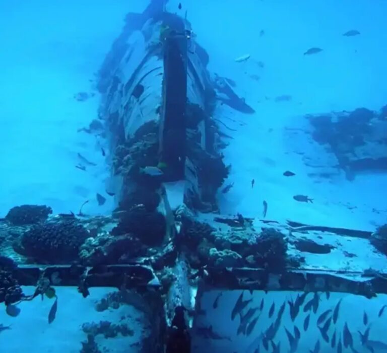 Los marines han descubierto un avión de origen desconocido en el fondo del mar. Lo que se encontró dentro del avión ha dejado perplejos a los investigadores.
