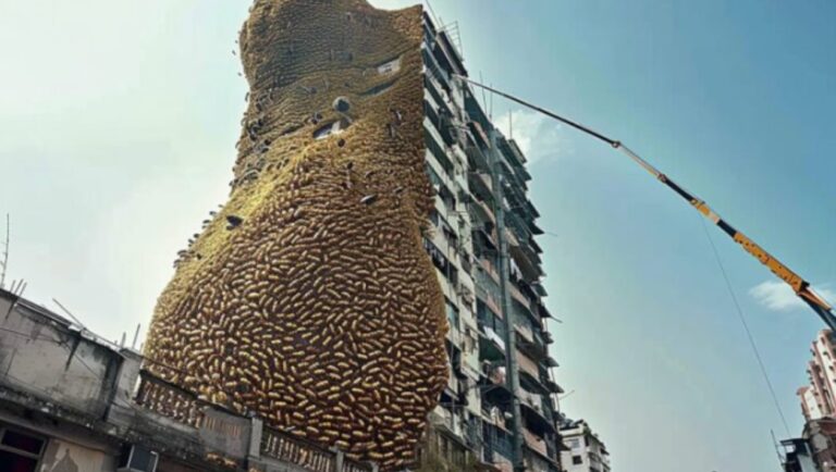 Extraordinario y casi inimaginable: un prodigio de la naturaleza que solo se presencia una vez entre un millón.
